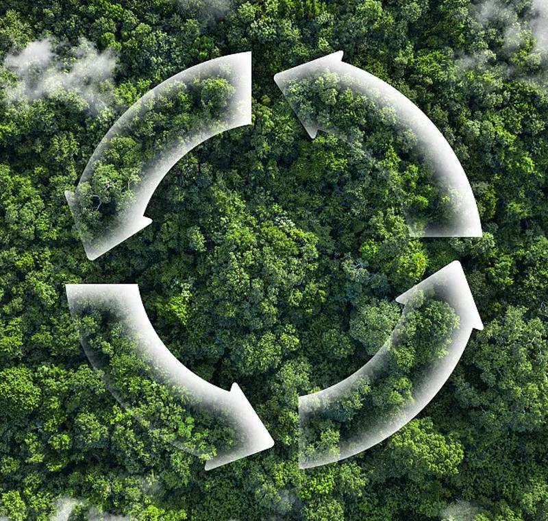 Scalable Sustainability: Helping a European Retailer Launch a Low-Carbon Cleaning Line