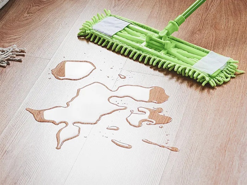 Eco-friendly Cleaning Products, Reduce Your Carbon Footprint
